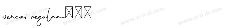 wencai regular字体转换